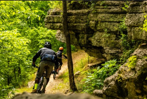 Shakespeare Courts Bvv - Residential