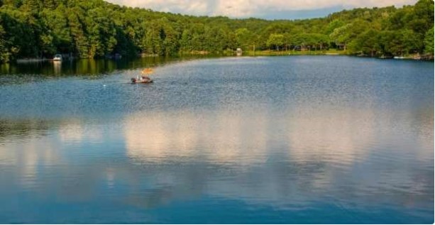 Shakespeare Courts Bvv - Residential