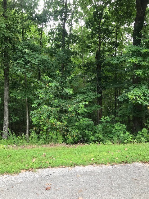 Half acre lot in a great subdivision close to Medfield clubhouse/golf course (Dogwood and Brittany) and Recreation Complex which offers a newly updated fitness center with classes you can attend, rentable pavilions with electricity and lights, restrooms, miniature golf, a playground, basketball court, pickleball and tennis courts, shuffleboard, horseshoe pit, and a seasonal outside pool. There are several mountain bike/hiking trails in the area like Mulligan, Rago, the Back 40, and the Ledges. Lake Brittany is also close for your lake needs like swimming, fishing, kayaking/canoeing, and paddle boarding. Don't let this .5 acre (sloping) lot get away and loose all the great things Bella Vista has to offer!
