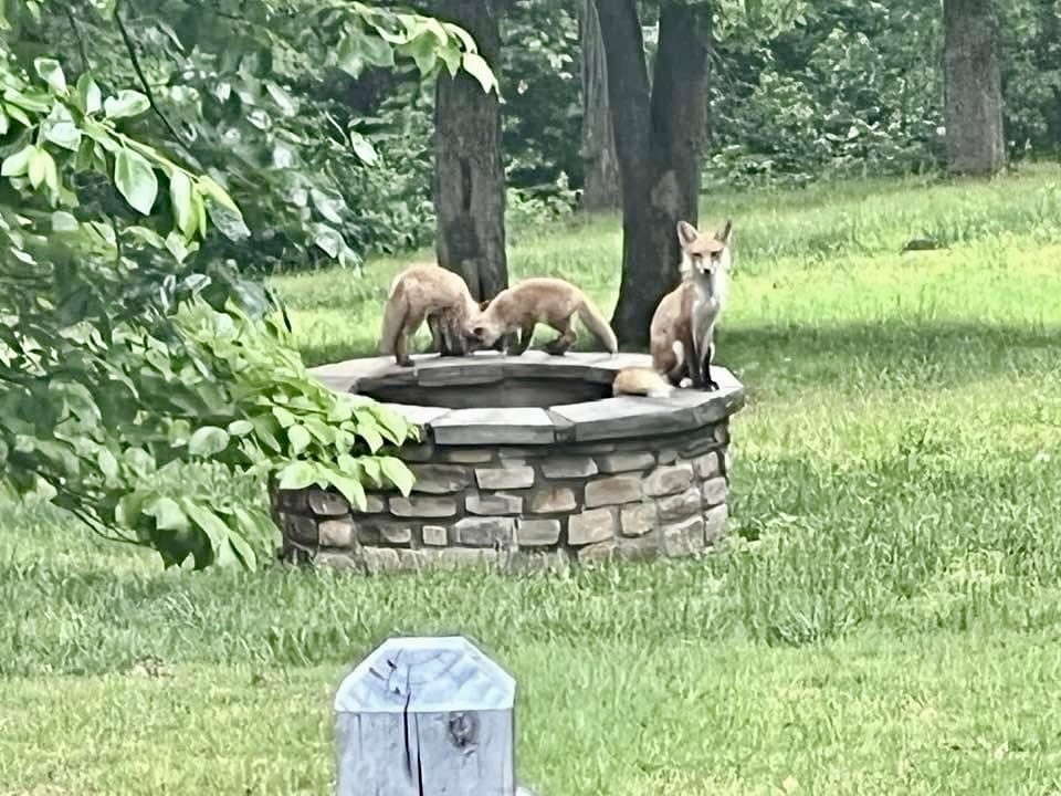 Spring Ridge Sub Springdale - Residential