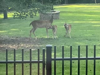 Spring Ridge Sub Springdale - Residential