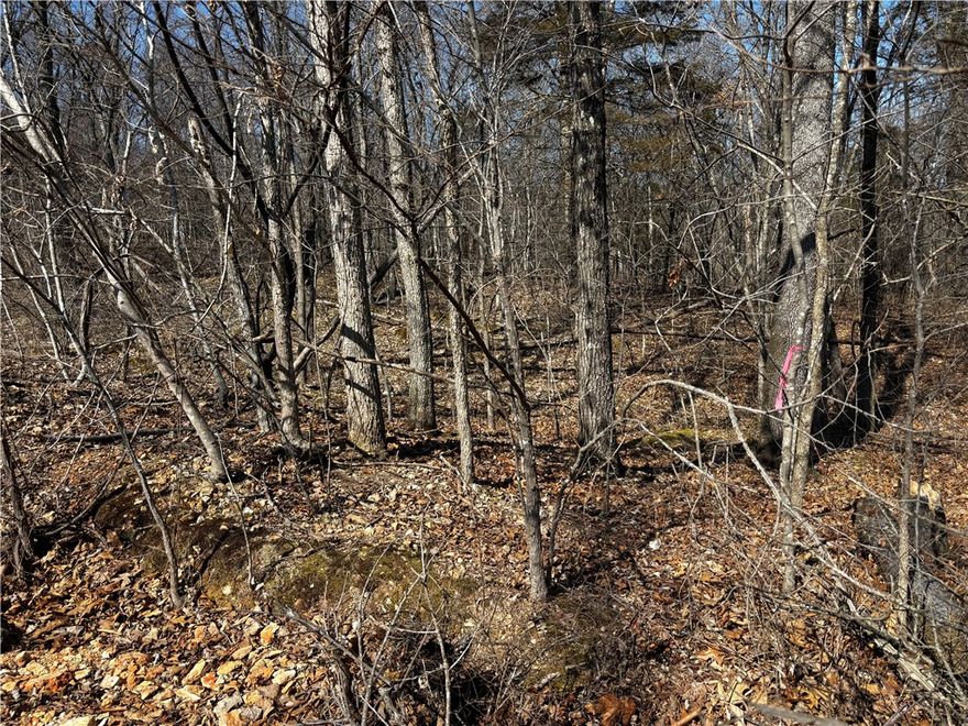 This fantastic lot is located near Lake Windsor.  it is a peaceful neighborhood that is just starting to get developed.  You have water and electricity available at the road.  The seller had never done a PERC and has no knowledge of the size of home that can be build there.
