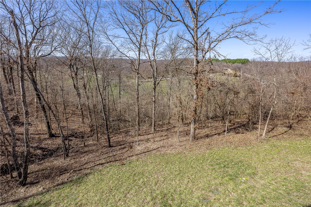 Bluffs Sub, The Bentonville - Residential