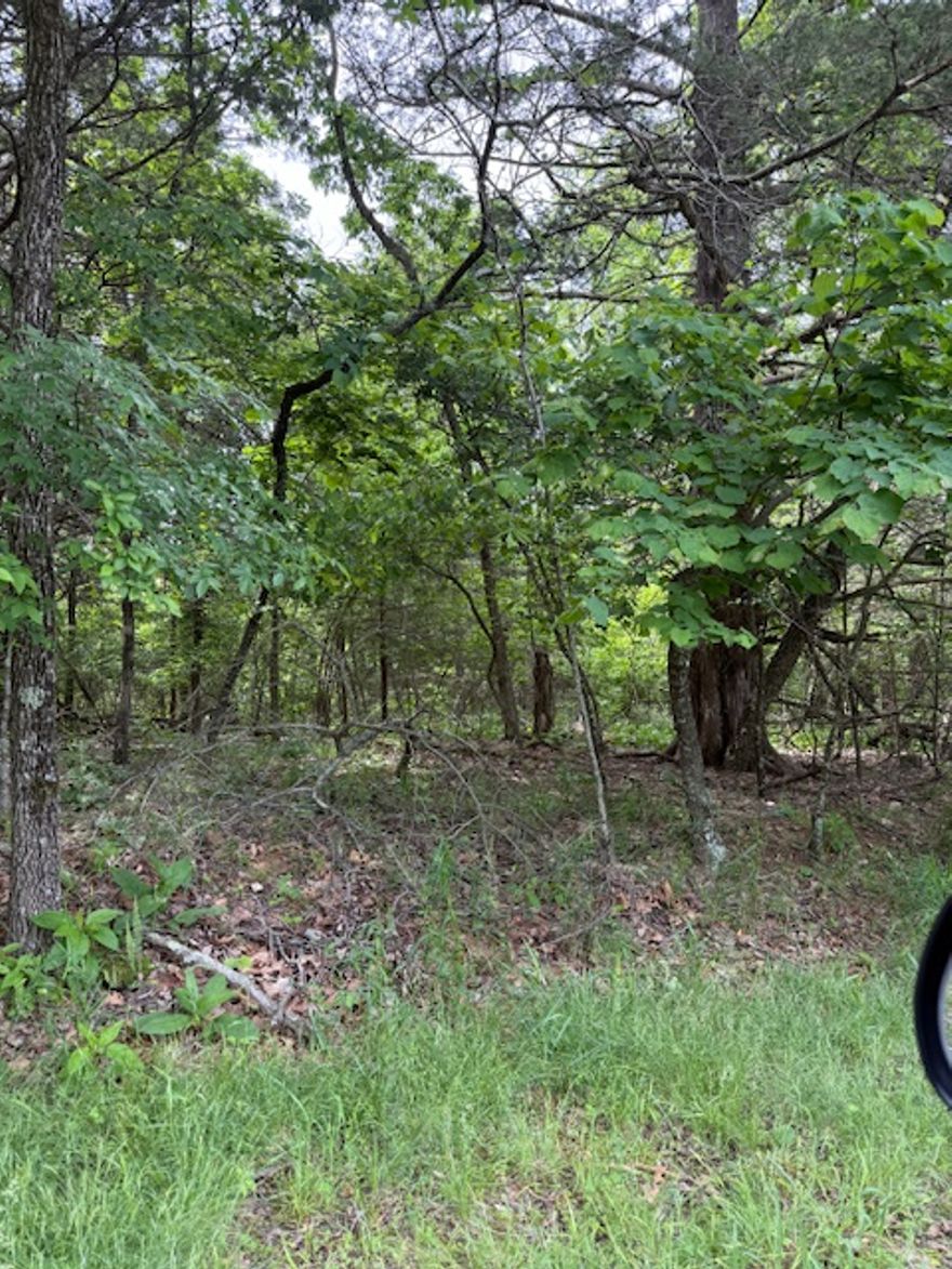 Beautiful lot ideally located across from the Lost Bridge Village airstrip and just minutes from Beaver Lake. This slightly sloping parcel offers an excellent building site, perfectly suited for a custom home with a walk-out basement. Sewer and water are available at the street, making the building process even more convenient. Enjoy the best of Northwest Arkansas with easy access to Bentonville, Rogers, and Eureka Springs. Embrace lake living with nearby boat ramps, swimming areas, and Lost Bridge Marina just moments away. Lost Bridge Village amenities include a swimming pool, clubhouse, tennis courts, library, and private airstrip. Whether you're looking for a primary residence, vacation retreat, or investment opportunity, this property offers a unique combination of location, convenience, and lifestyle. Don’t miss your chance to build in this desirable lake community!