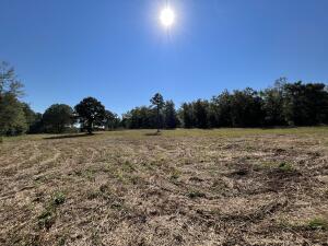 Dreamers Welcome!Don't miss out on this beautiful property outside of city limits but not far from town. There are multiple opportunities with this 4+ acre lot.