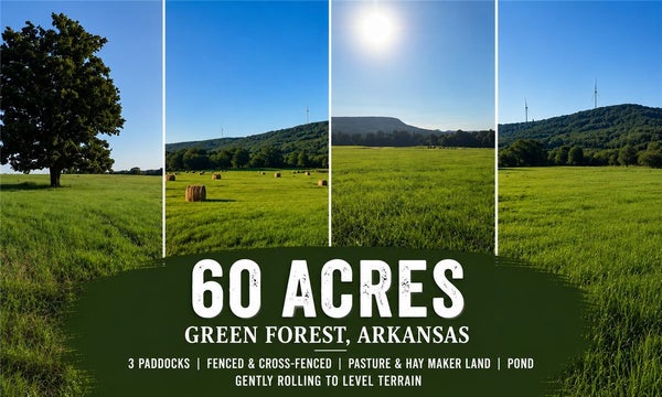 ADDRESS PRIVATE, GREEN FOREST, AR 72638 - Image 4496a16b1beb6c2db3aebf10fa07bc3b/3334179653