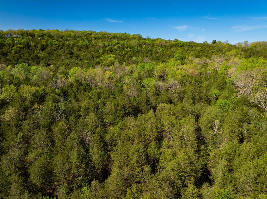 Your beautiful 15.55 acre lot is located in Grandview, AR. The gently sloping property makes the perfect place to build your home, nestled off the quiet, private driveway. Amazing features of this countryside property include a multitude of tree, a small water fall, rock outcropping, beautiful wildlife and stunning views. Located just outside of Berryville and close to the Kings River, you have privacy yet quick access to necessities and the local recreational activities the Ozarks are famous for!