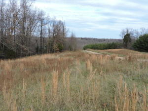Building lots located near the Buffalo River National Park. Pasture and trees. Lots lay nice. Underground utilities (electric, phone and rural water). Near pavement. Harrison Schools.