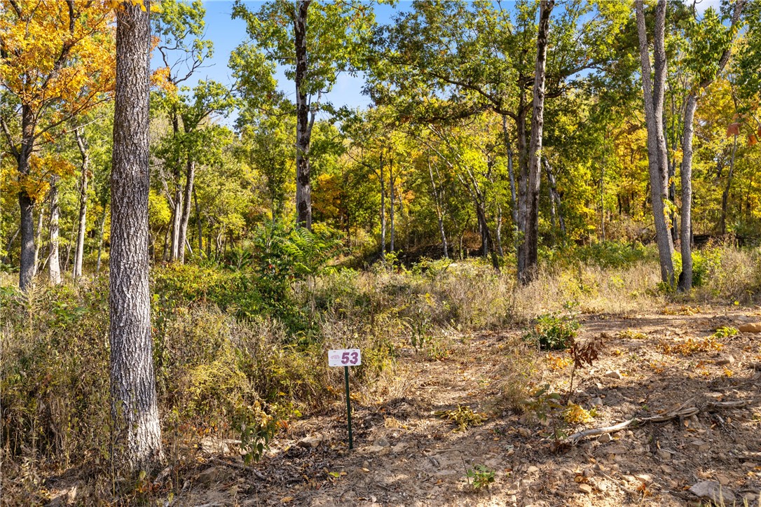 Lot 53 is 0.90 m/l acres in size. The lot features unique rock and boulder formations like you would see in the Rockies, has big westerly views and is ideal for a walkout basement home floor plan.! Round Mountain Estates is a new, master planned, exclusive subdivision located 10 minutes west of Harrison, AR. The following utilities are already on site making the building process much easier for you; natural gas, fiber optic internet, electric, public water, and sewer. Interested in your family seeing the star lights instead of those city lights? RME is what you've been searching for! RME features a 350 +/- acre common area for its residents that includes a stocked fishing pond, Kissing Rock trail, natural springs to explore, Baby Canyon trail, incredible bluff lines to climb, and views for hundreds of miles that will not only take your breath away but will forever be etched in your memory! Neighborhood amenities coming soon.