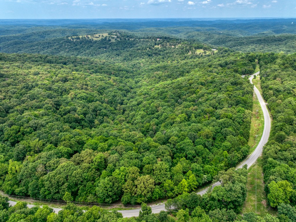 Check out this rare 5 acres! This very nice, flat, lush land is right off of the paved road! The large area off of the access road has a very gentle slope to it and is a perfect place to build! Large, mature trees give this lot a great feel and with some clearing, you could have a nice valley view. Power is at the street and Eureka Springs is only 10 minutes away! Itās worth your time to look at this one!