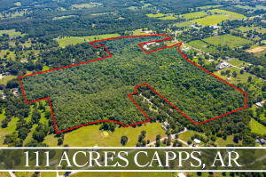111 Acre wooded parcel with Endless Possibilities -subdividing the property and selling it in separate tracts or build your dream home. The acreage is located just West of Harrison at Capps Community. It fronts on Capps Rd/Hwy 392, joins Old Capps Rd between the cemetery & mini storage and Rocky Knoll Lane. Land lays from Hwy 392/Capps Road in & around the Illumination Station, Fox Run Acres Subdivision, Rolling Oaks Subdivision and Western Oaks Subdivision off of Rocky Knoll Lane. Buyer to verify availability of Rural Water & Electric.