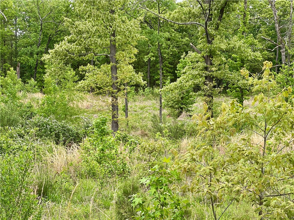 Lot 13 Galaxy Lane