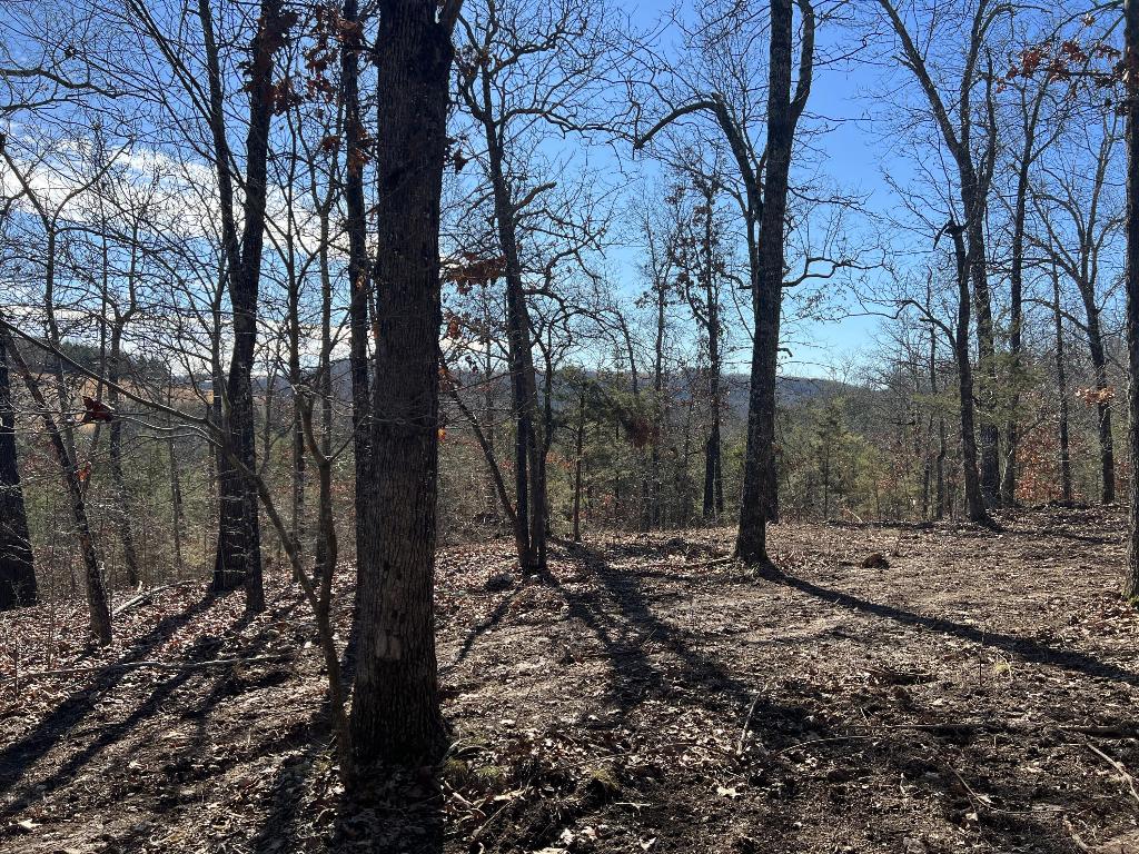 Nice VIEW with this 6.83 acres m/l. The property has small clearing with large trees surrounding it. If you are looking for a private place to build this is it. NO restrictions. Call today to take a look. More land available.