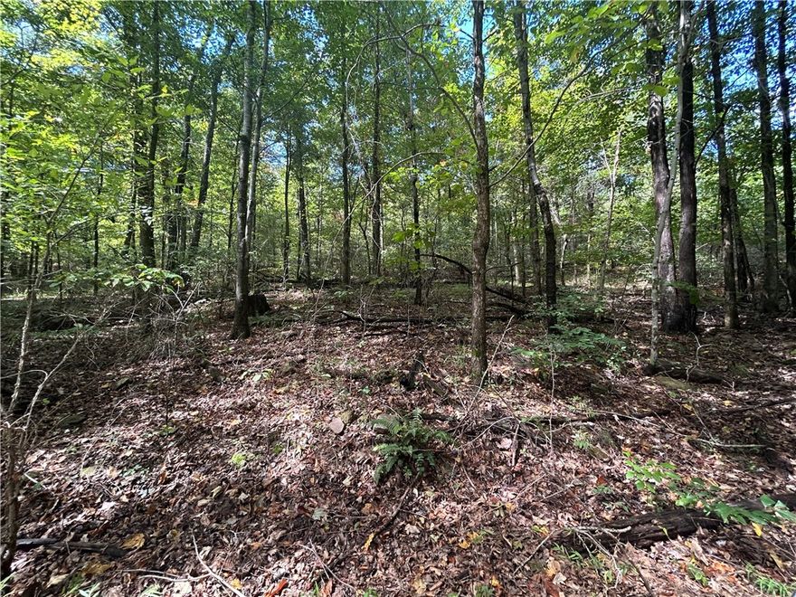 If you are looking for a affordable large piece of land with some bonuses, this is your place! This 40 acre tract has some utility options, a 2 car carport, a shed, and a pond. Lots of potential with 40 wooded acres, beautiful wildlife, no restrictions, and no visible neighbors! The house (1986) could possibly be cleaned out and used as a hunting cabin. Priced at recent appraised value - majority of value is in the land. Ride your mountain bikes, 4 wheelers or side-by-sides, hunt, or just enjoy the peace and quiet. Come make this piece of the Ozarks your own! Also listed as Residential MLS # 1325857.