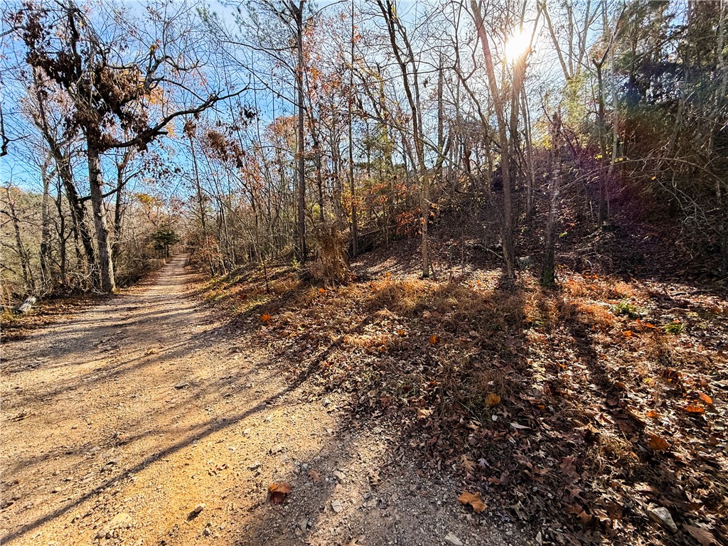 11-18-29-RURAL - Land