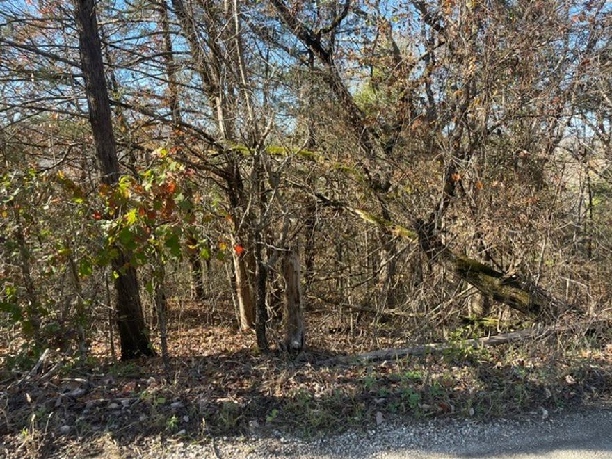 Area of wonderful unique homes with river access to all residence of Shady Grove.  County Road on back of property and Bella Vista on front.  2.36 acres with some clearing and some wooded.   Rural setting but near Eureka Springs or Berryville.  Sellers love property but have job transfer.