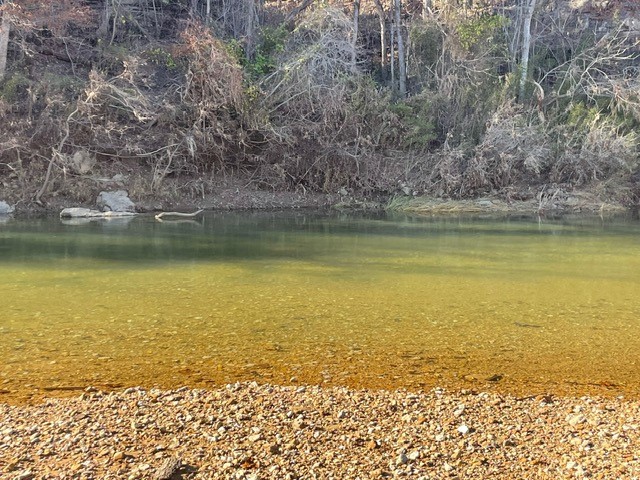 Riverside At Shady Grove - Land