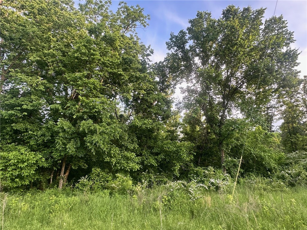 Dreaming of privacy and nature? Build your custom home on this rare, oversized 0.62-acre wooded lot in beautiful Bella Vista! Imagine a long driveway leading to your secluded haven tucked among the trees, surrounded on three sides by Bella Vista POA land for ultimate privacy. Just 9 minutes to l-49, and moments from scenic walking and biking trails. Enjoy access to Bella Vista's world-class amenities-golf courses, lakes, country clubs, and more. Seller will consider short-term owner financing!