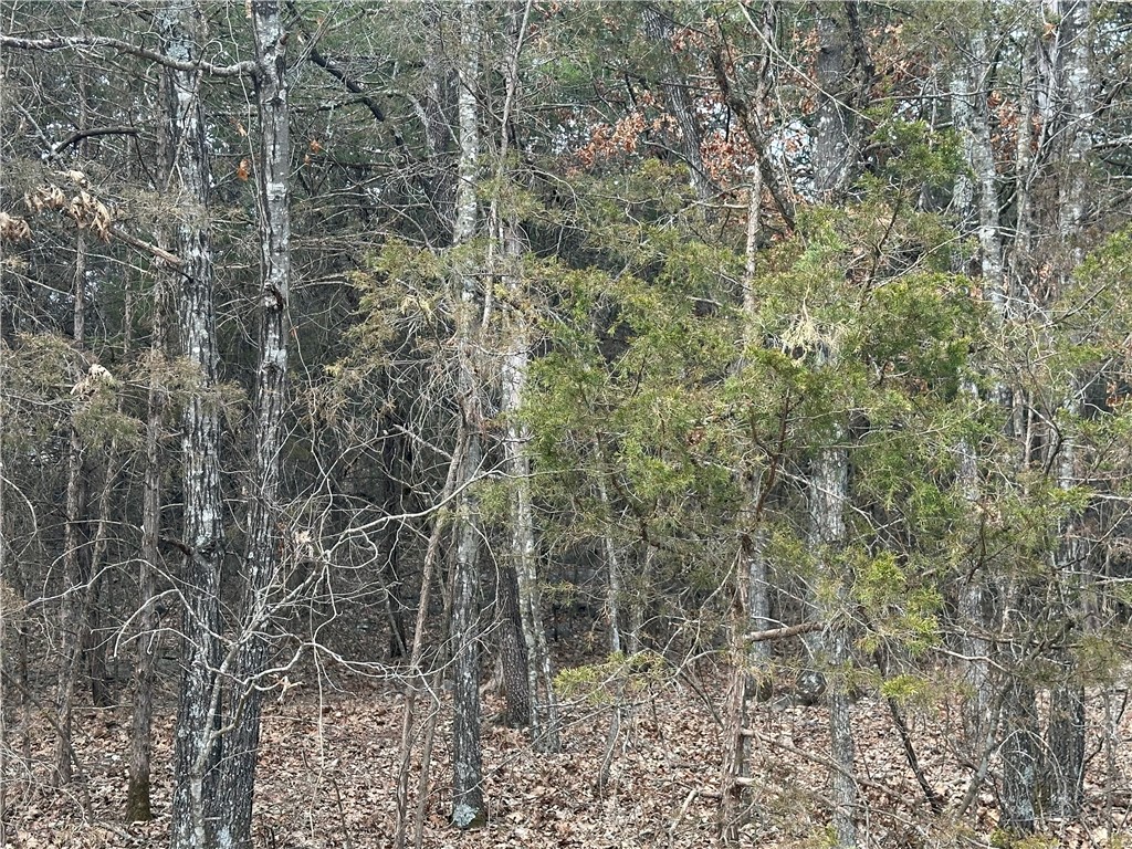 Unit 12 Holiday Island - Land