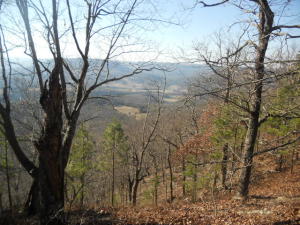 Scenic Point Estates- If you are looking for a parcel of land to build on with a view this is it. Property will have restrictions to protect your investment. Rural water, electric, and high speed internet are available. All this close to the Buffalo National River and the Ozark National Forest. Just a short drive south of Jasper.