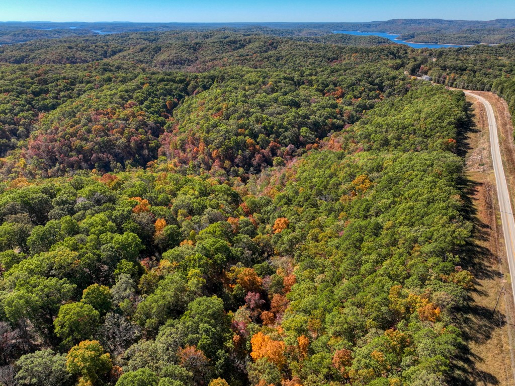 Newly developed lot, located not far from Beaver Lake and the White River, while still having quick access to Eureka Springs! This 4+ acres has frontage on paved highway 187 and is close to Starkey Marina. Mature trees and not much underbrush make this a very pleasant property! This land will be restricted at the time of sale.