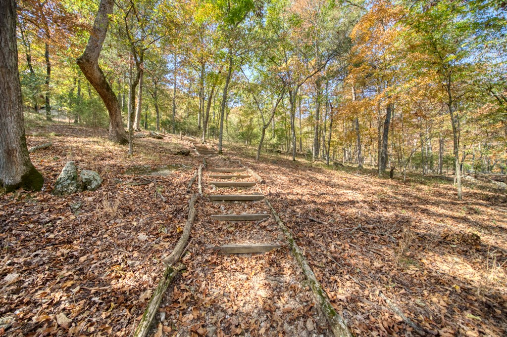 Lake Forest #1 - Residential