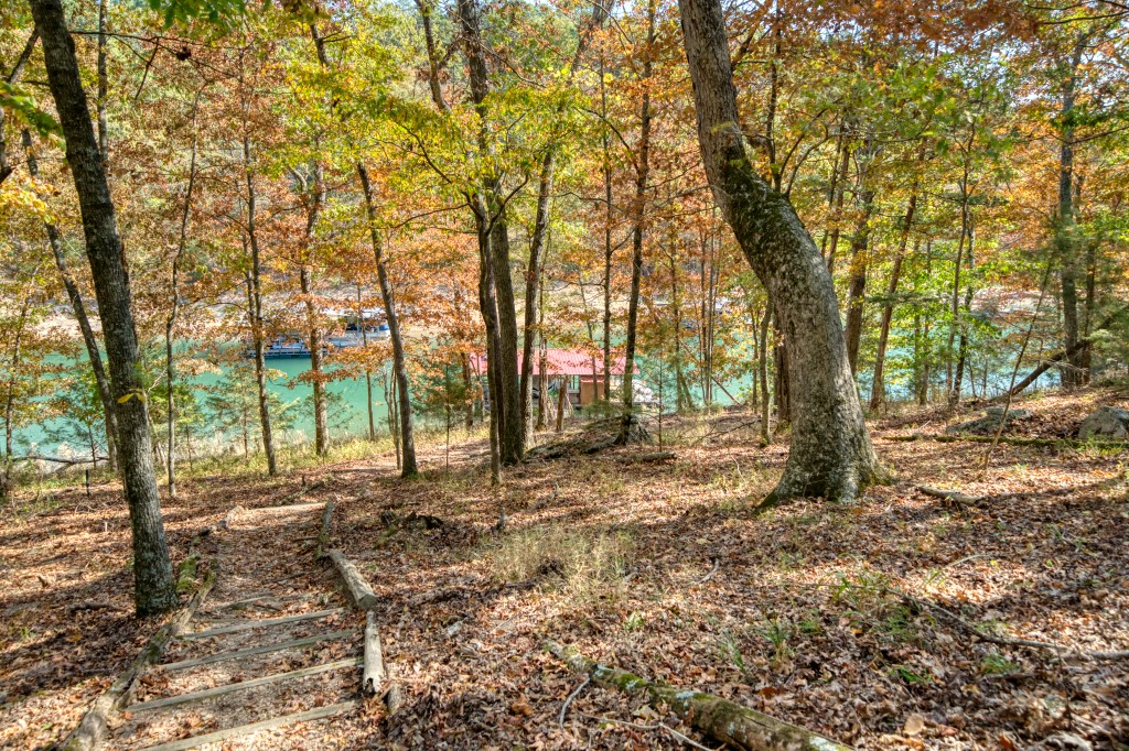 Lake Forest #1 - Residential