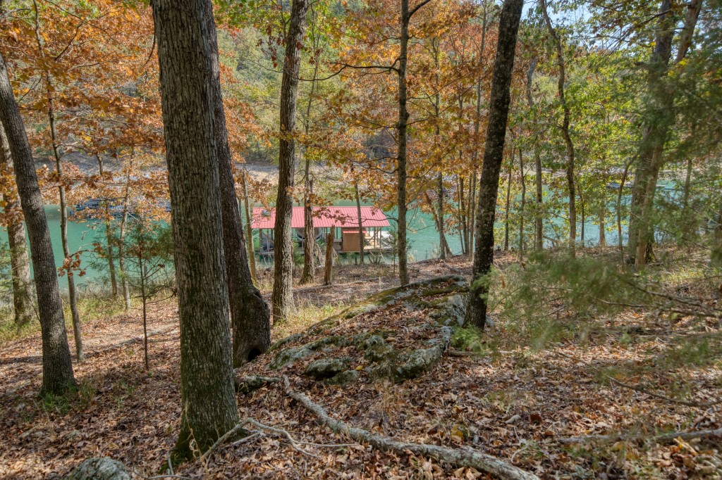 Lake Forest #1 - Residential