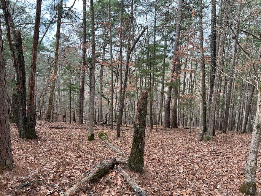 2.70+/- beautifully wooded acres tucked away on one of Beaver Lakes cove fingers close to Ventris Hollow