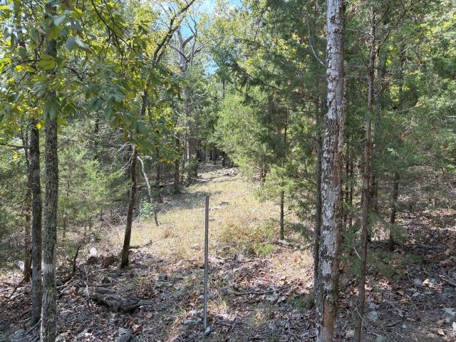 How about a small slice of the Ozarks only minutes to the Bull Shoals Lake Boat launch and property joins the government strip. On a county road with power at road. Drill a well and you are set or have an off-grid cabin with land that joins government you can hunt for days with plenty of wildlife.