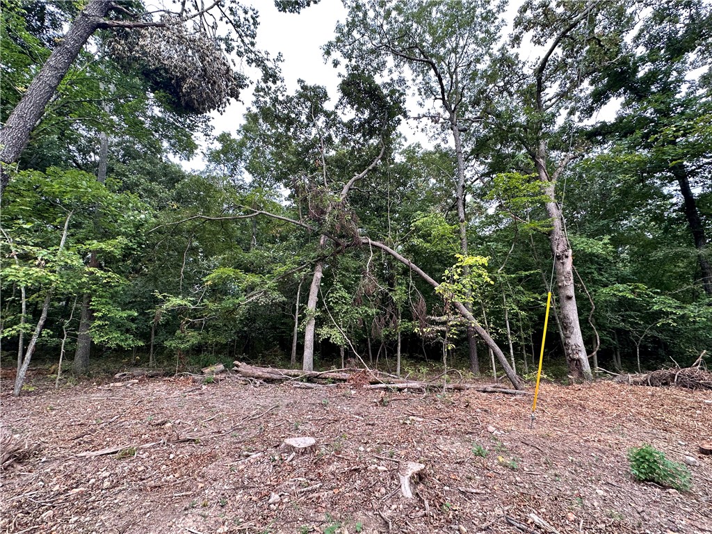 Beautiful, serene lot near the mountain bike trails and amenities. Great location of established and new homes.