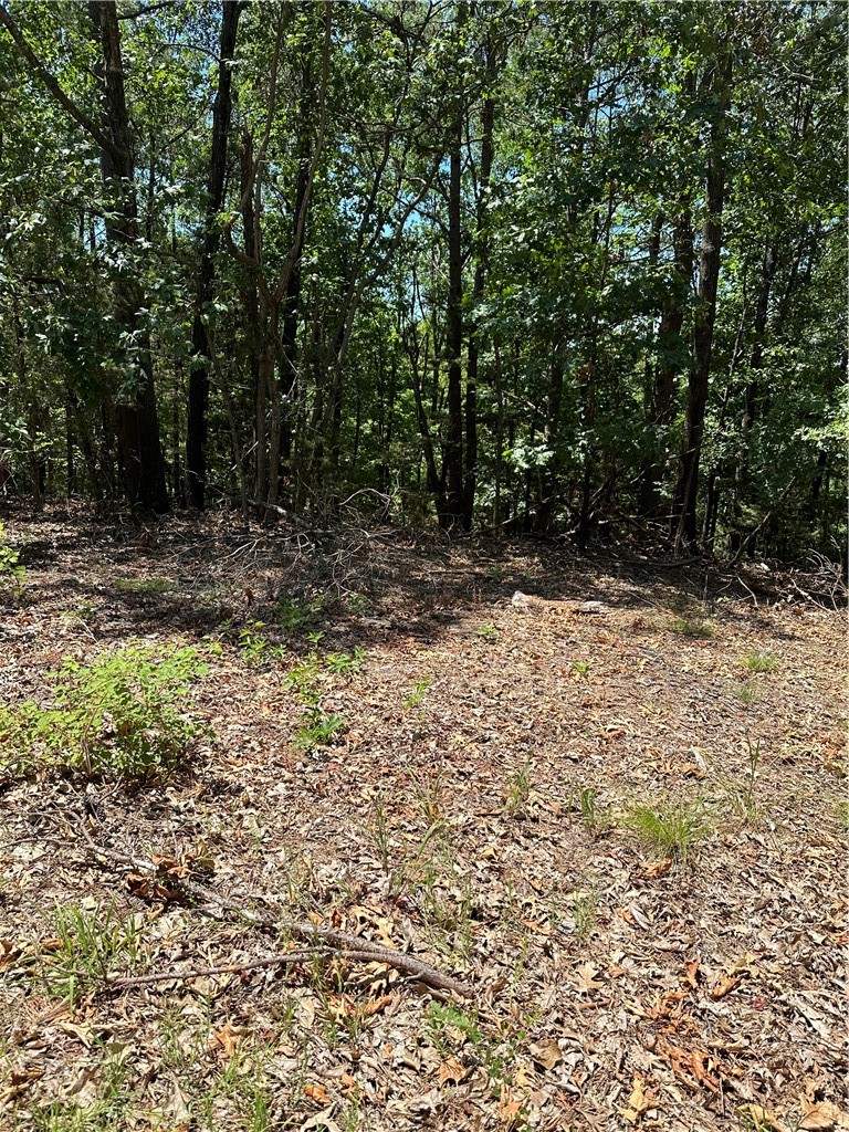 Tanglewood Resort 2 Rurban - Land