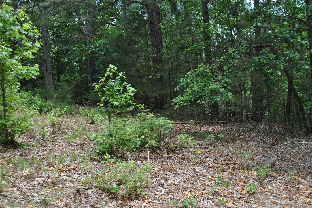 Tanglewood Resort 2 Rurban - Land