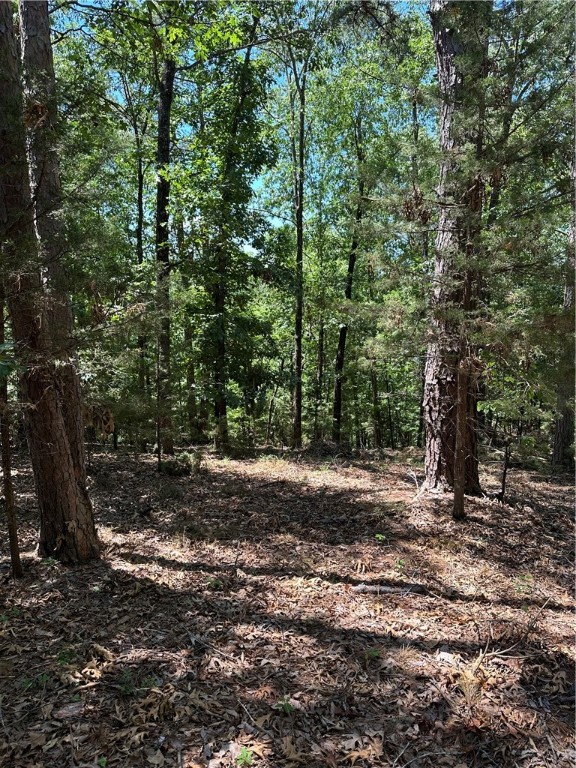 Tanglewood Resort 2 Rurban - Land