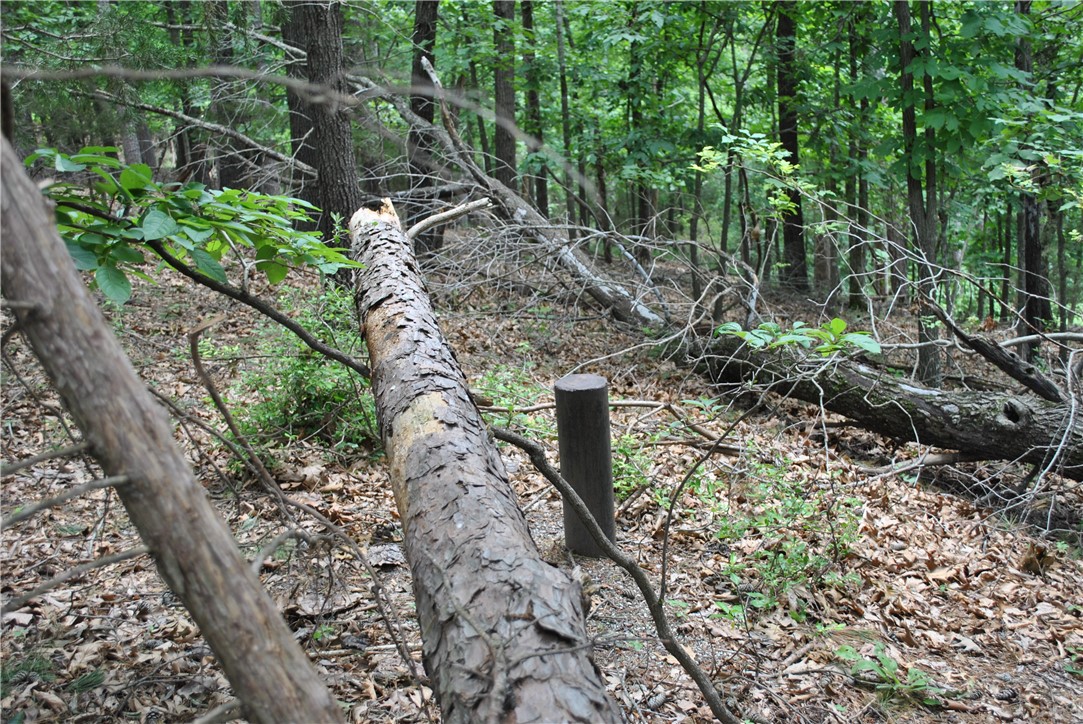 Tanglewood Resort 2 Rurban - Land