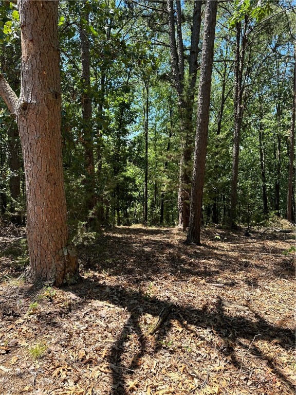 Tanglewood Resort 2 Rurban - Land