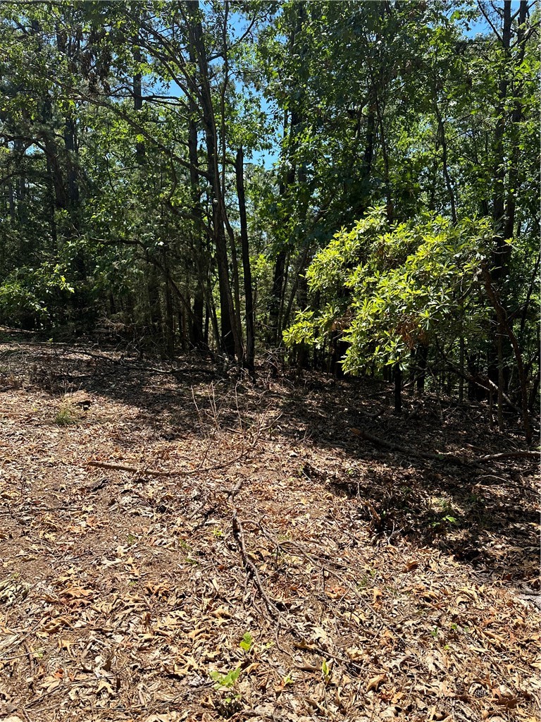 Tanglewood Resort 2 Rurban - Land