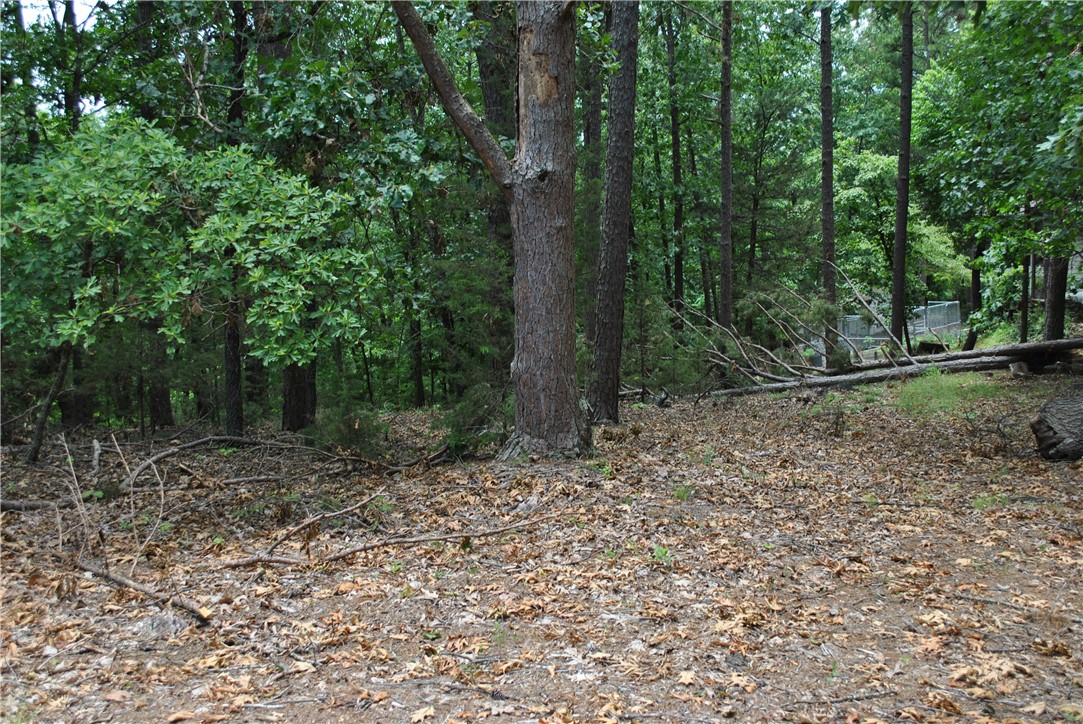 Tanglewood Resort 2 Rurban - Land