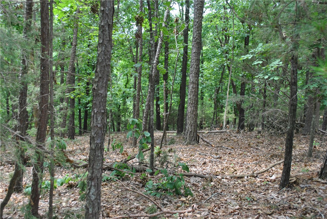 Tanglewood Resort 2 Rurban - Land