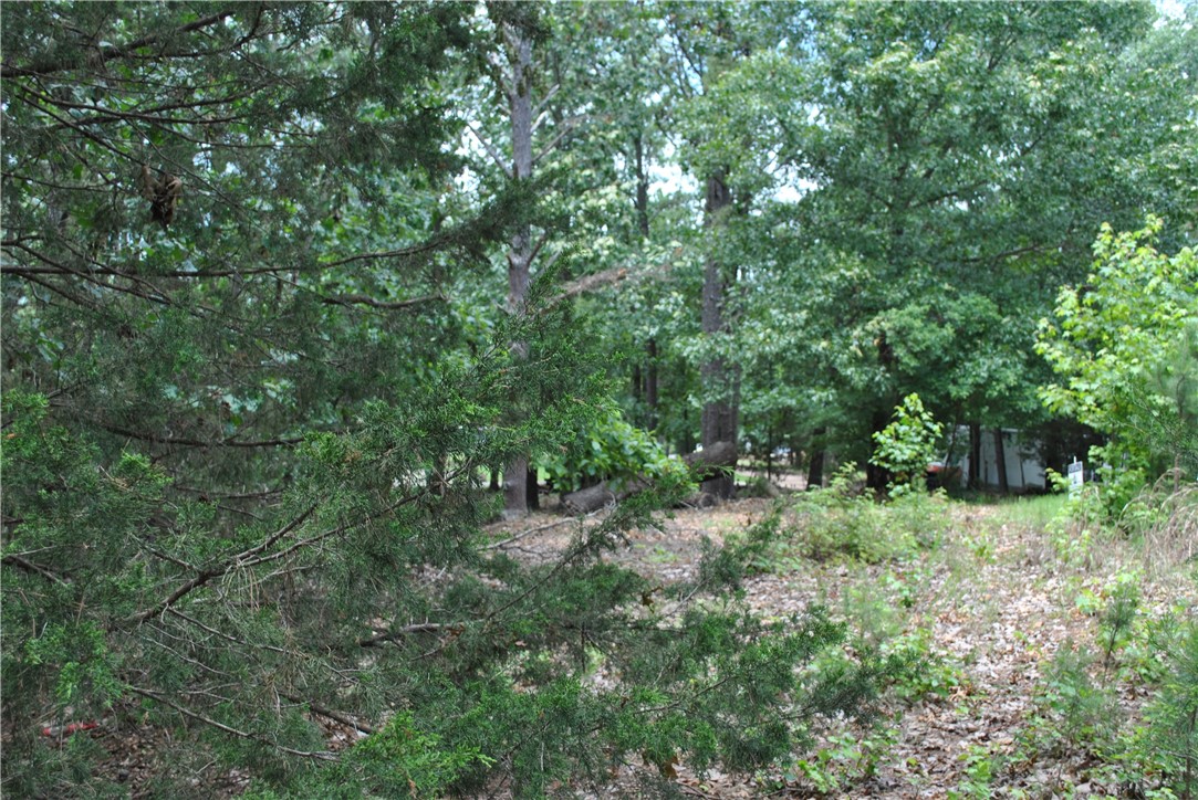 Tanglewood Resort 2 Rurban - Land