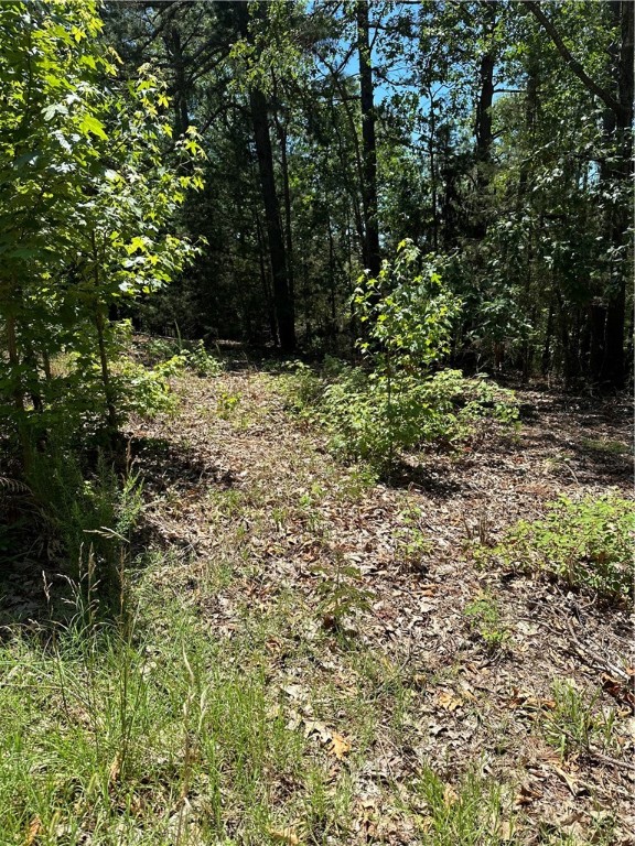 Tanglewood Resort 2 Rurban - Land