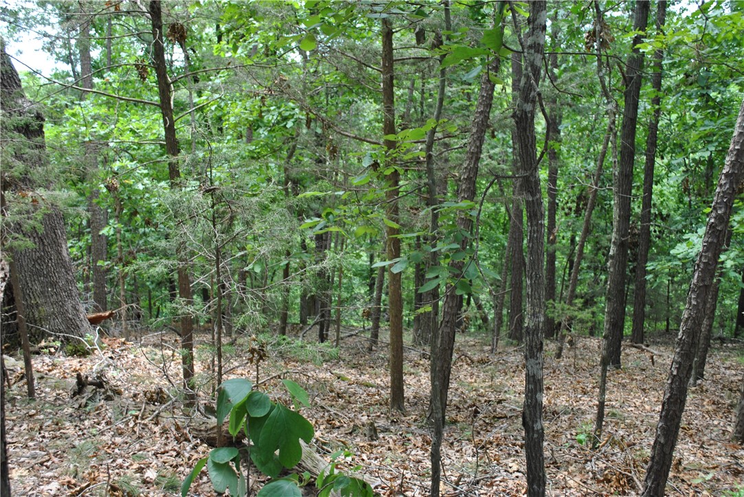 Tanglewood Resort 2 Rurban - Land