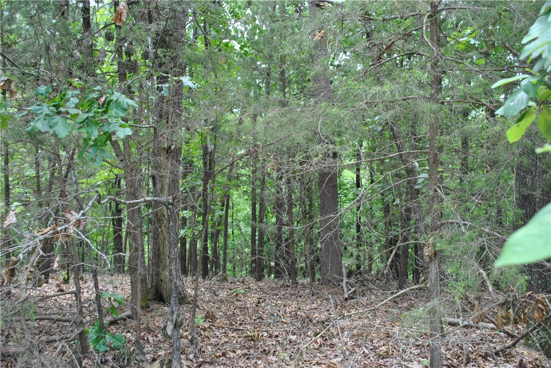 Tanglewood Resort 2 Rurban - Land