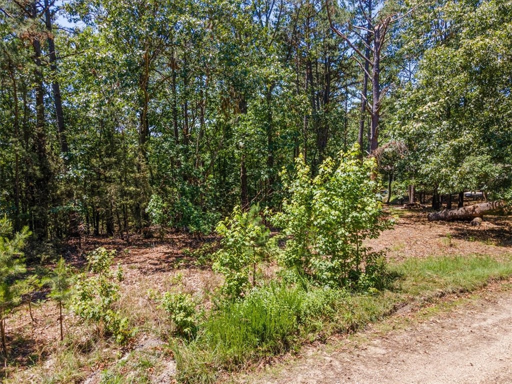 Tanglewood Resort 2 Rurban - Land