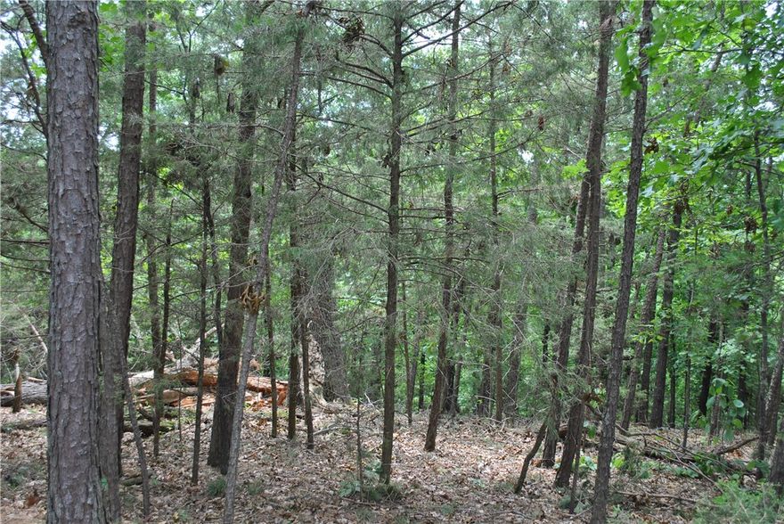 Rare find in Rocky Branch ! Looking for a level buildable place for a tiny home or cabin with municipal water available ? Only a mile and a half to the Rocky Branch Marina and public area with paved boat launch and swimming area. Lots on the west side are level and would be the best spot to build. Municipal water provided by Benton County Water Authority #5, right across the street, note their sign. Nearby War Eagle Caverns, Hobbs State Park trails with War Eagle Mill, just a few minutes away. Per attached covenants, mobile home allowed on Lots 89-92, the flat area, see plat in attachments. Well on site but unknown to its condition. Per covenants, 680 sq. ft minimum footprint. GPS-Property is directly across from 20324 & 20292 Mockingbird Lane.