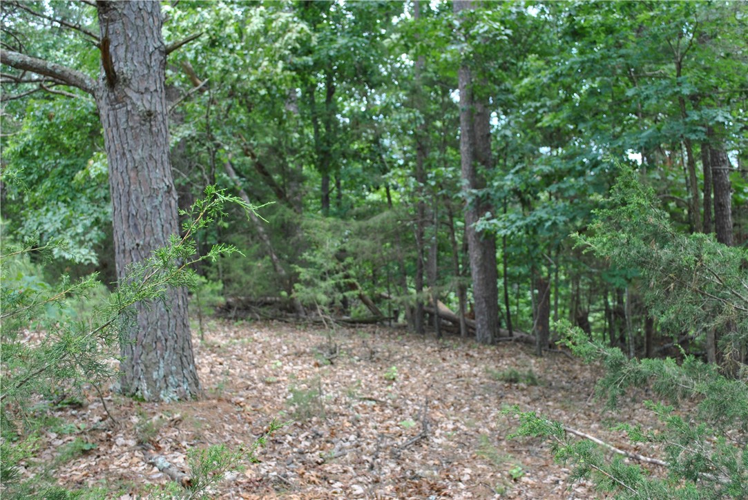 Tanglewood Resort 2 Rurban - Land