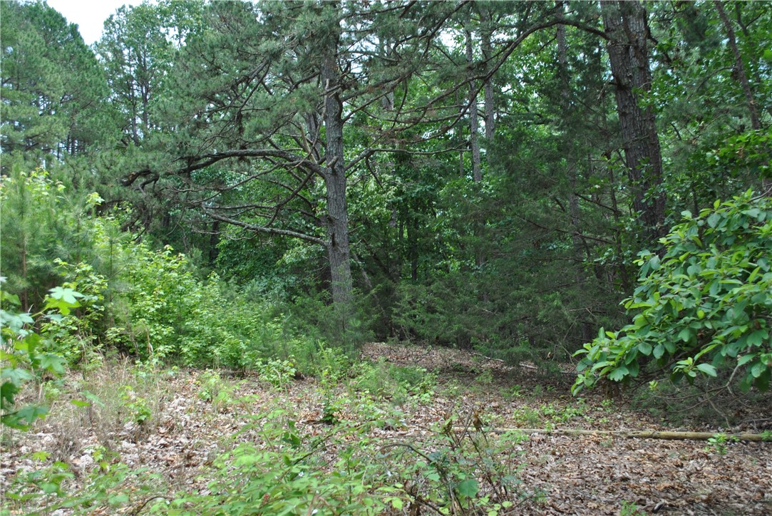 Tanglewood Resort 2 Rurban - Land