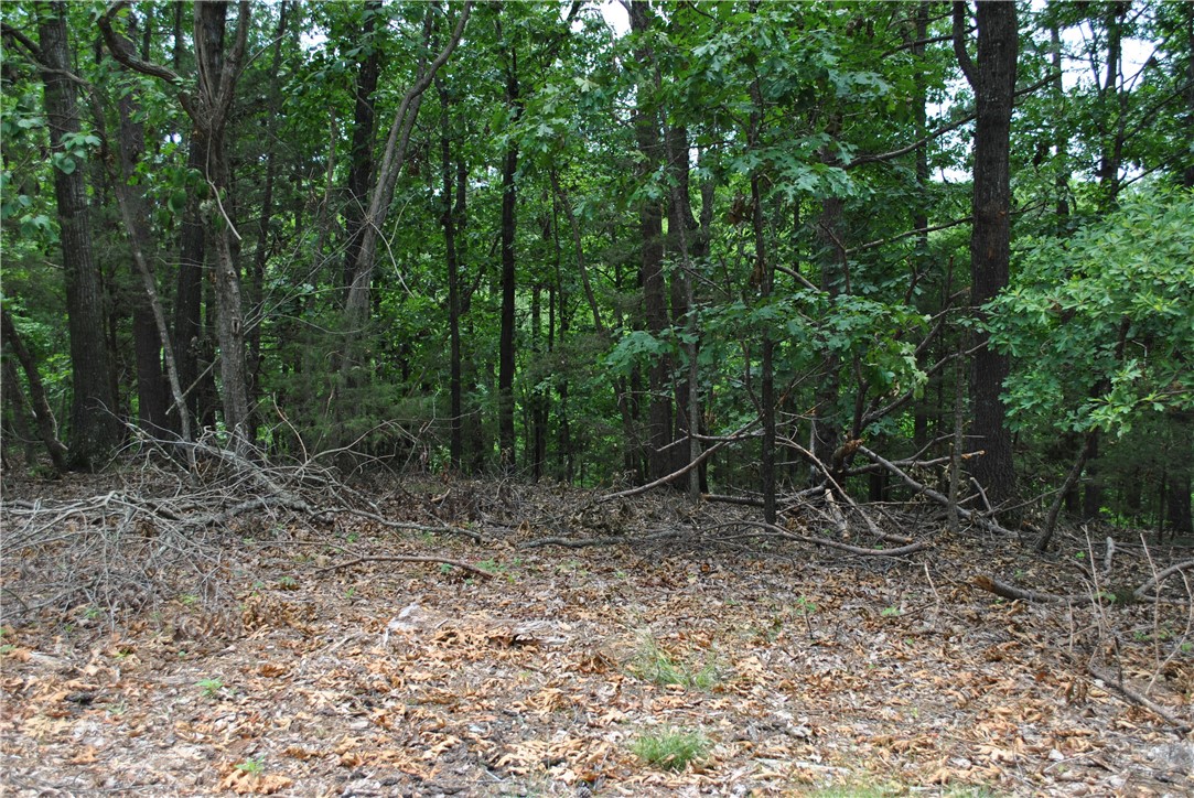 Tanglewood Resort 2 Rurban - Land