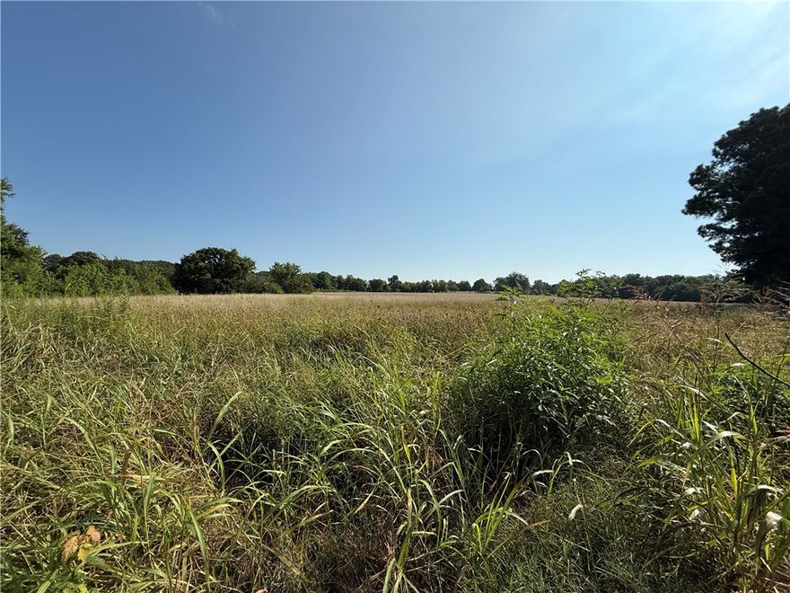 2.79+/- acres zoned B2 in Lincoln,AR. Multiple possibilities for commercial development. Adjacent to this property is a brand new subdivision with over 120+ new homes being built