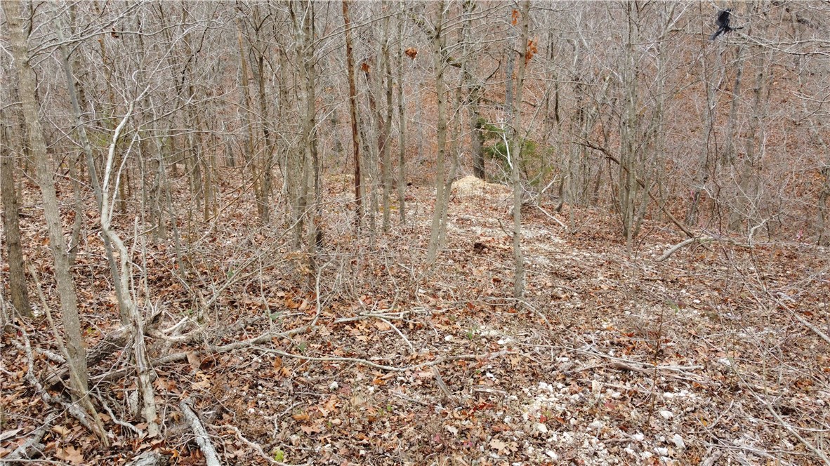 Great building lot with easy access to the Back 40, easy access to Lake Ann Park and Metfield Rec Center. Build to suit. Perc test and Survey complete.
